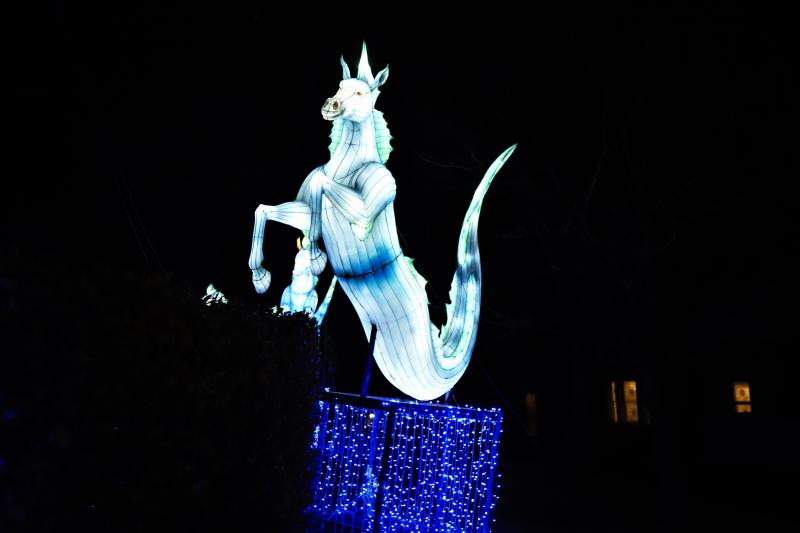 Photo of Edinburgh Zoo Kelpie Lantern